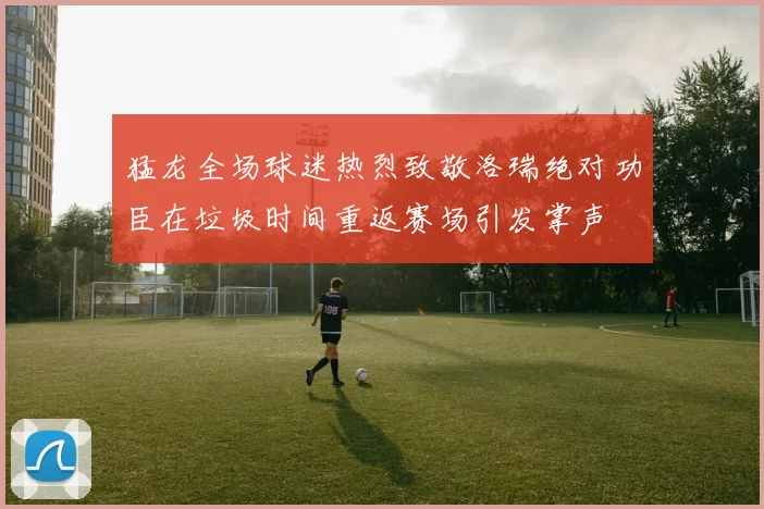 猛龙全场球迷热烈致敬洛瑞绝对功臣在垃圾时间重返赛场引发掌声